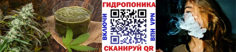 где купить наркоту  Юрьев-Польский  Cannafood марихуана 